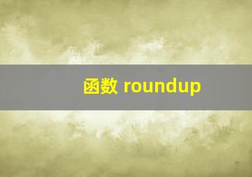 函数 roundup